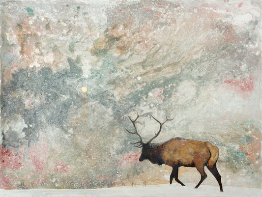 "Wandering" Prints
