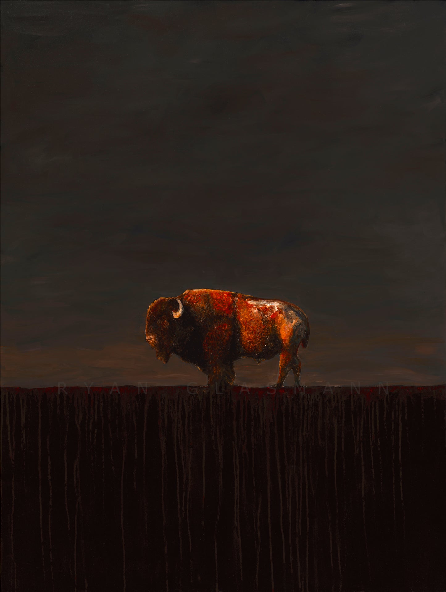 Lone Bison Prints